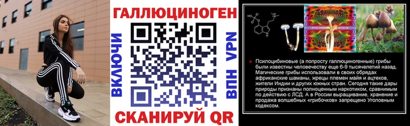 Псилоцибиновые грибы Cubensis Нововоронеж